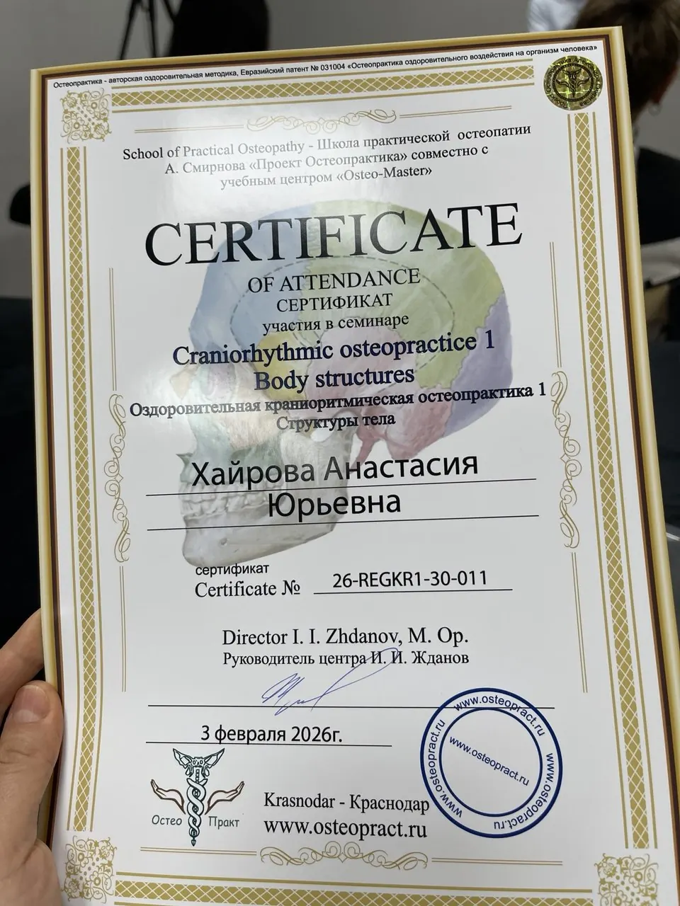 Сертификат Анастасии: Оздоровительная краниоритмическая остеопрактика 1. Структуры тела