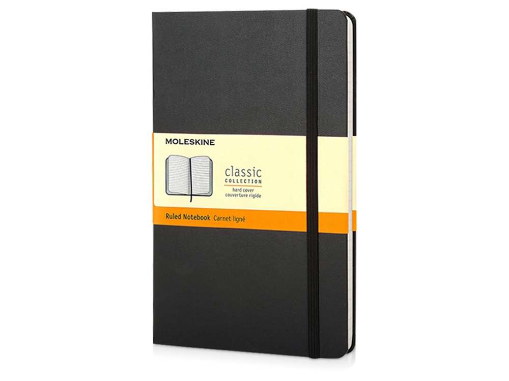    Moleskine Picasso   5  