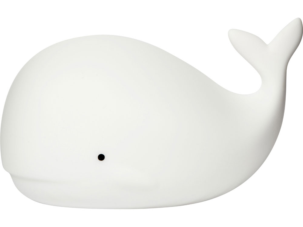   Whale