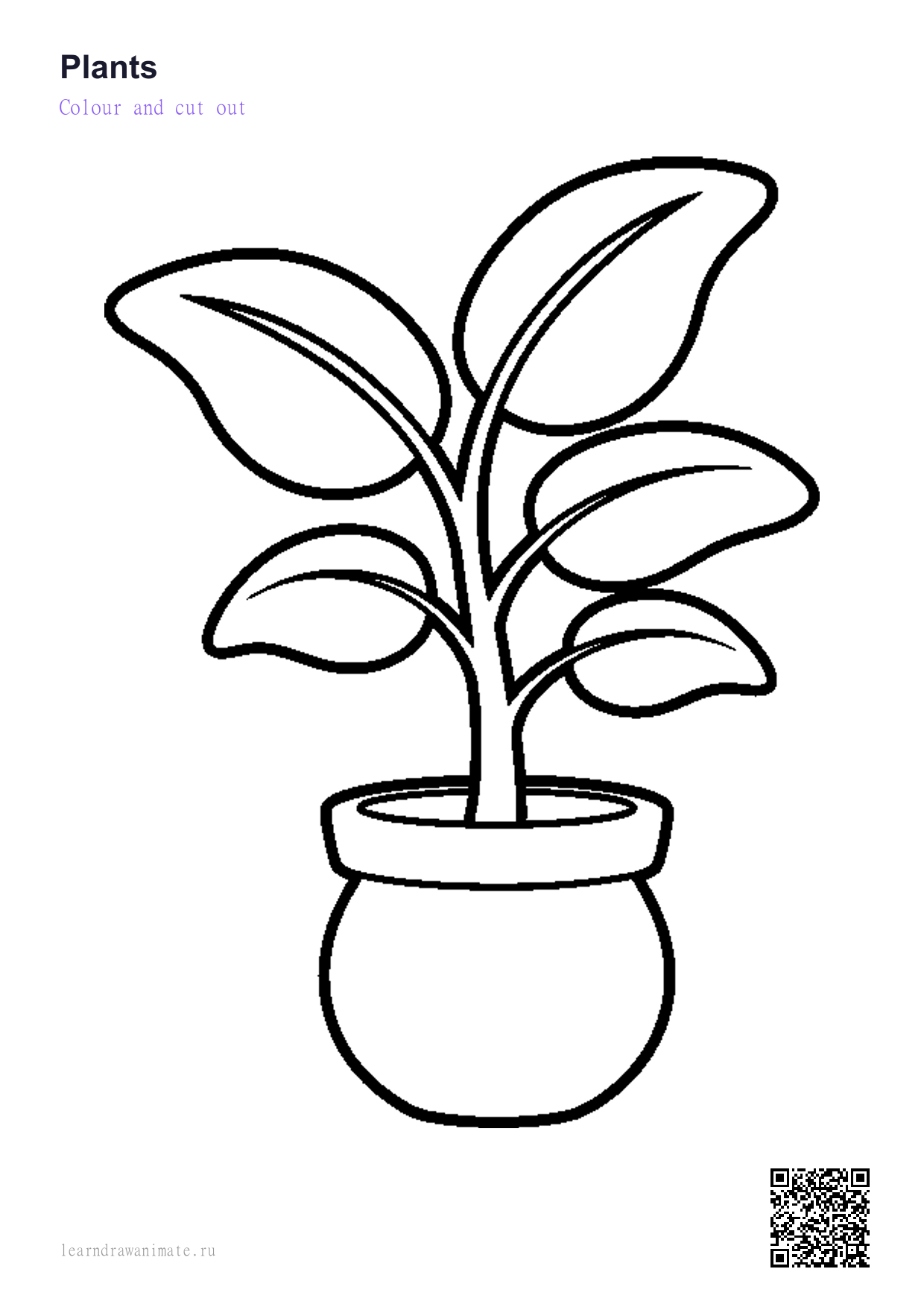 Раскраска растение — plant coloring page