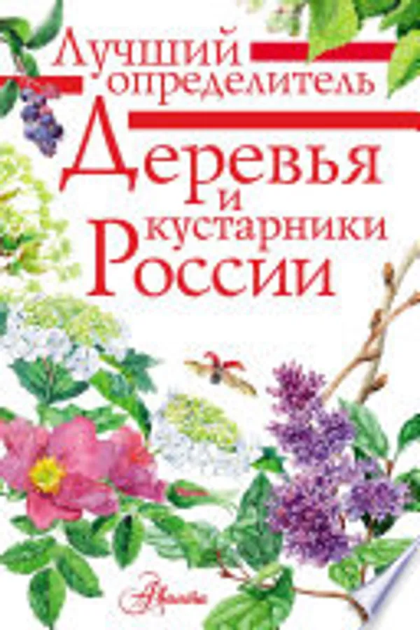 Деревья и кустарники России. Определитель