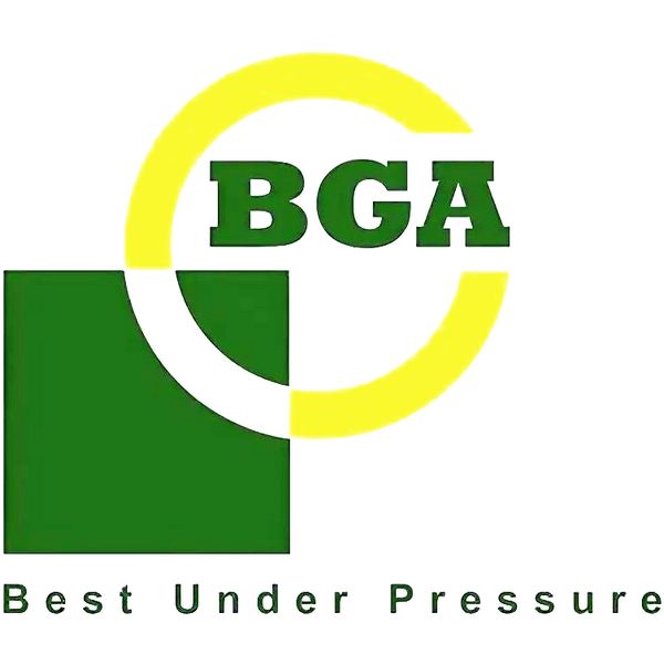 Логотип BGA