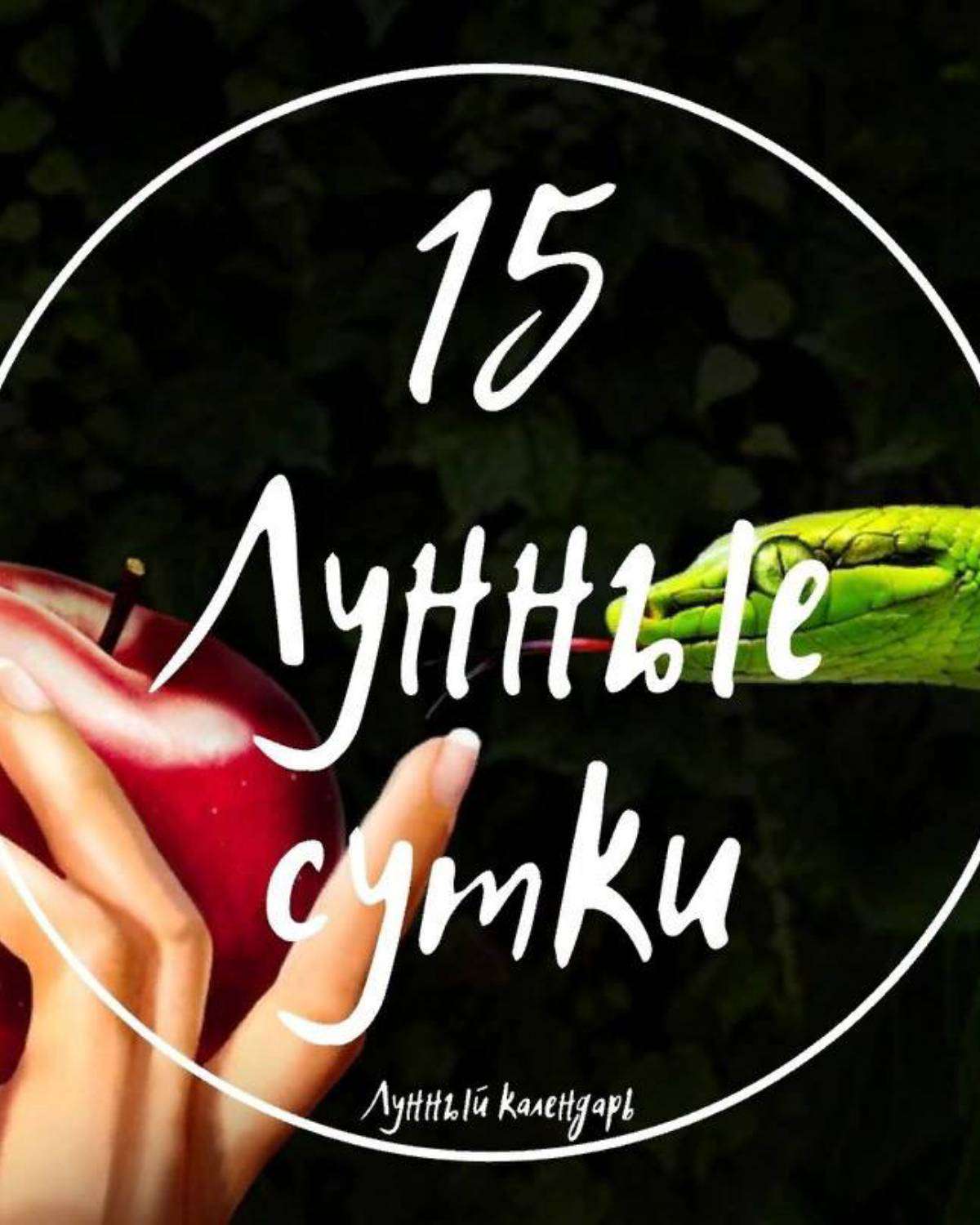 Лунный День Секс Лунный День Секс