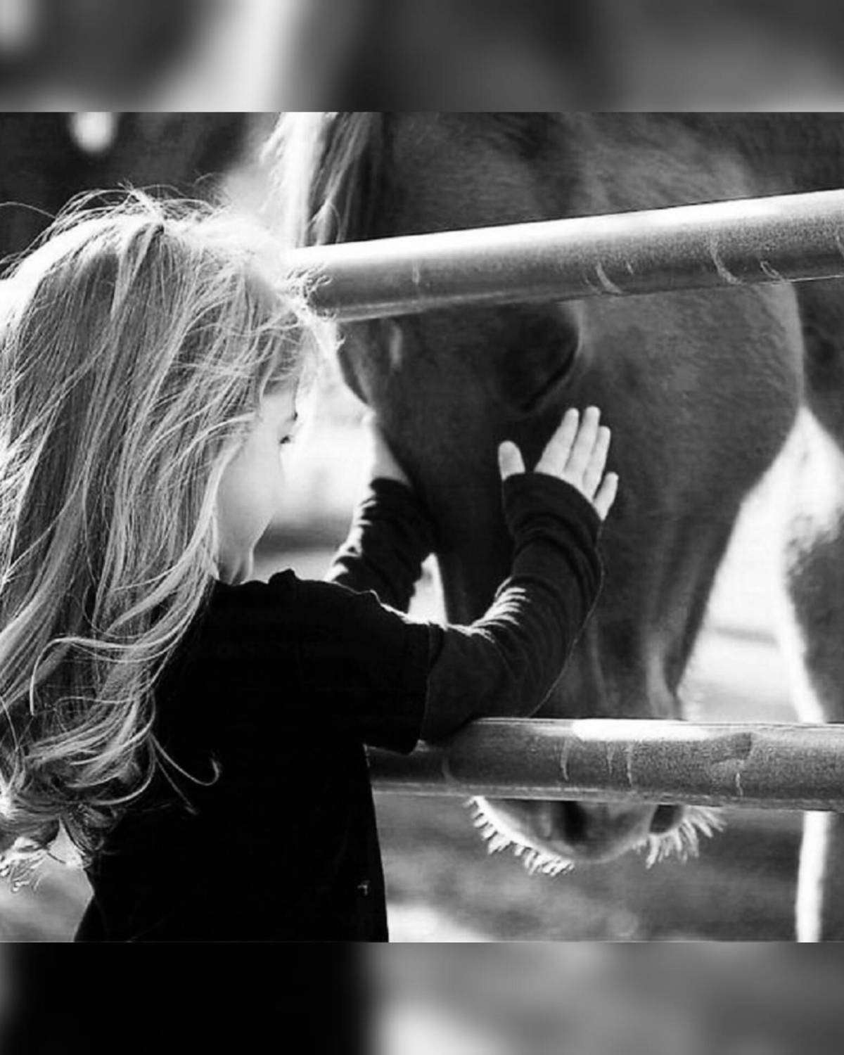 Доброта картинки. Мотиватор доброты. Мотиватор доброты. Амонашвили твори добро. Не любящие добра.