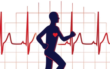 Фитнес тестирование перед тренировками в домашних условиях