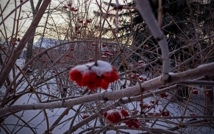 Спасибо, что ушел, когда был нужен
