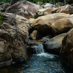 Пробуждение источника