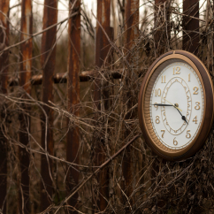 Сквозь время