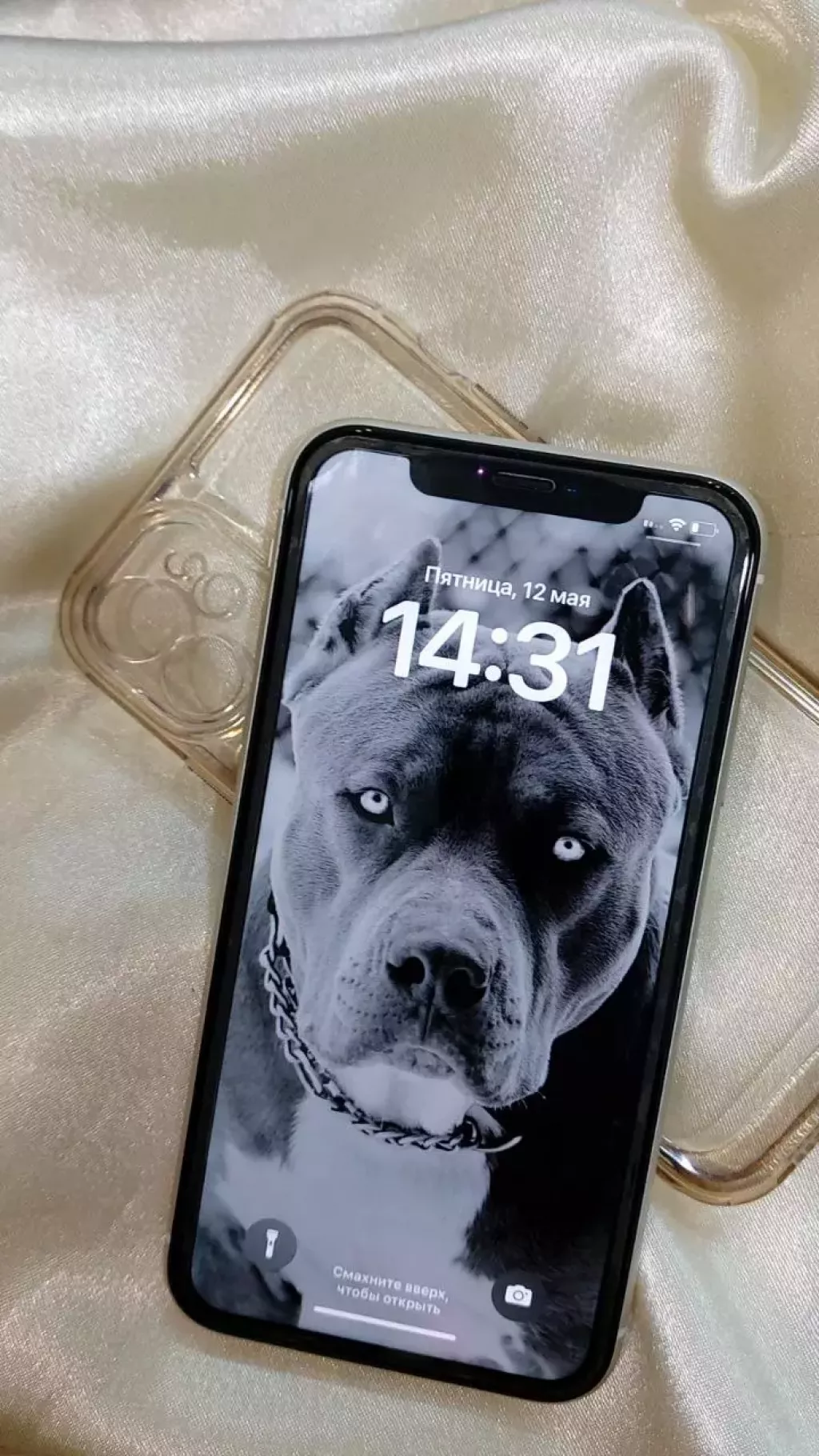 Apple iPhone 11 (Костанай) б/у купить по низкой цене в Костанае 7786