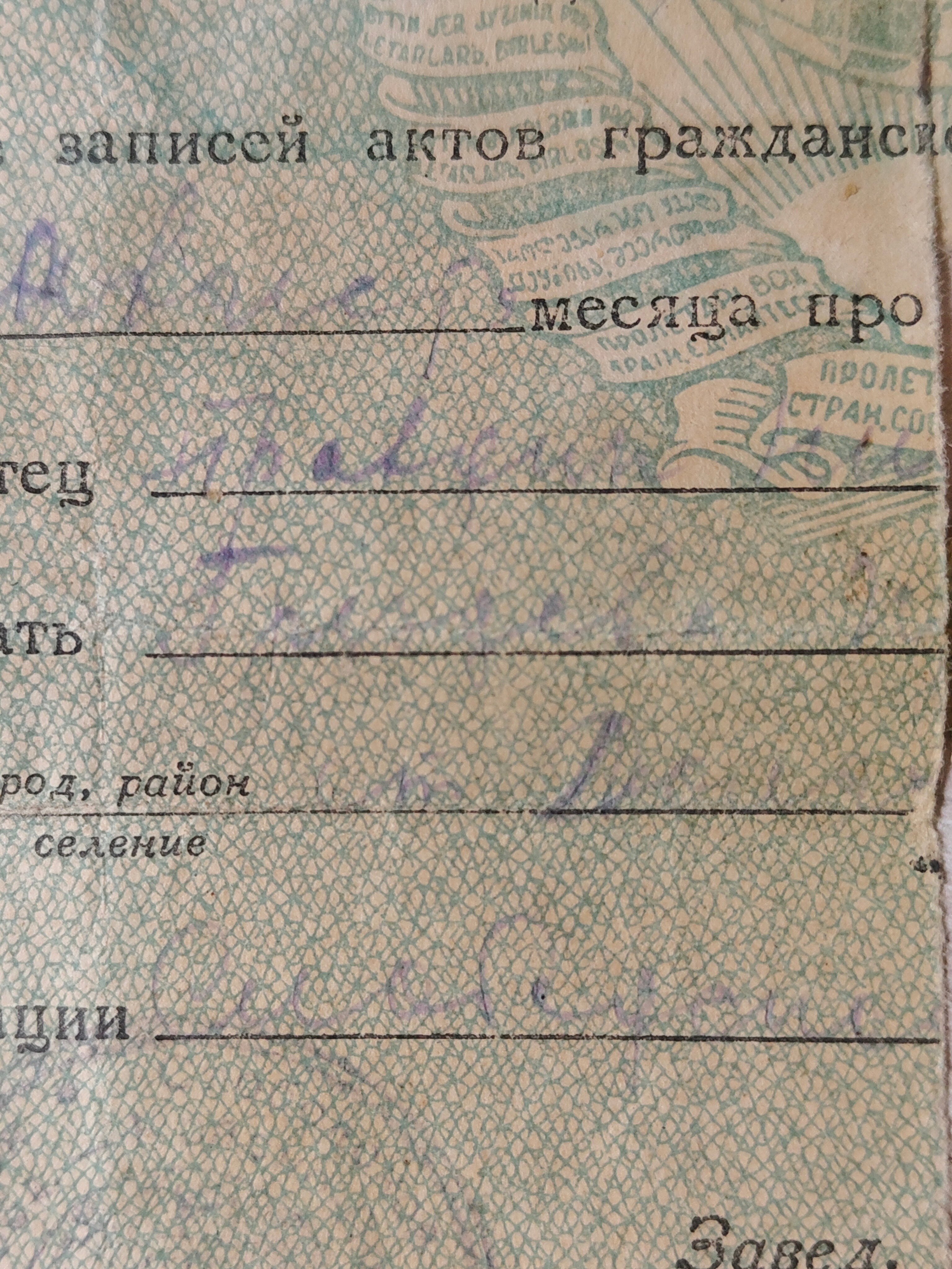 Исходное фото (до обработки)
