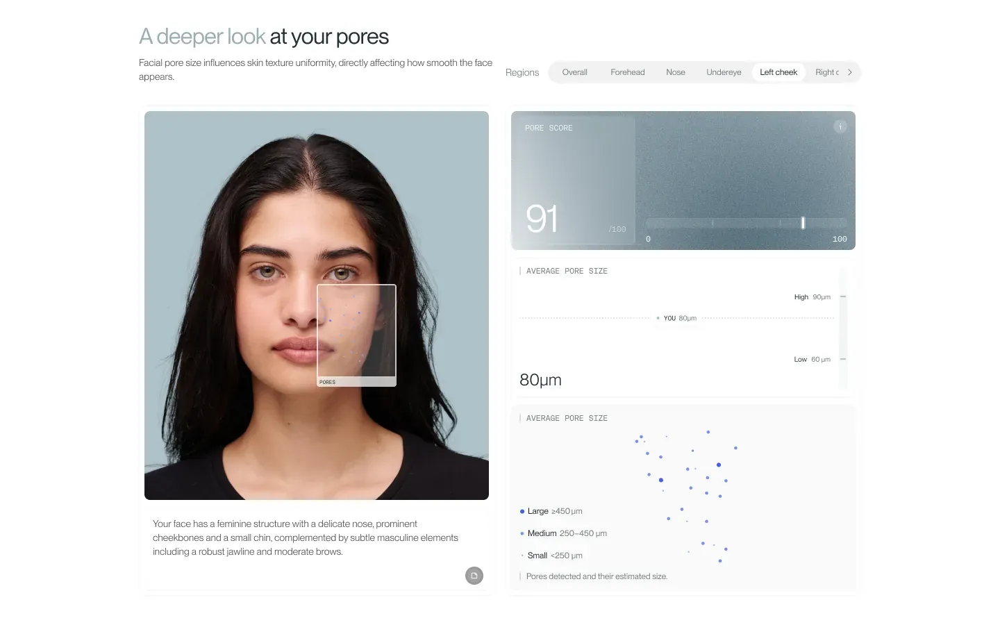 FASEVA pore analysis with a 91 out of 100 score, an average pore size chart, and detected pores mapped on the face FASEVA pore analysis with a 91 out of 100 score, an average pore size chart, and detected pores mapped on the face