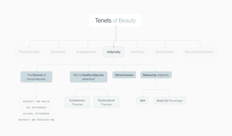 Mindmap placing facial adiposity within the seven tenets of beauty framework