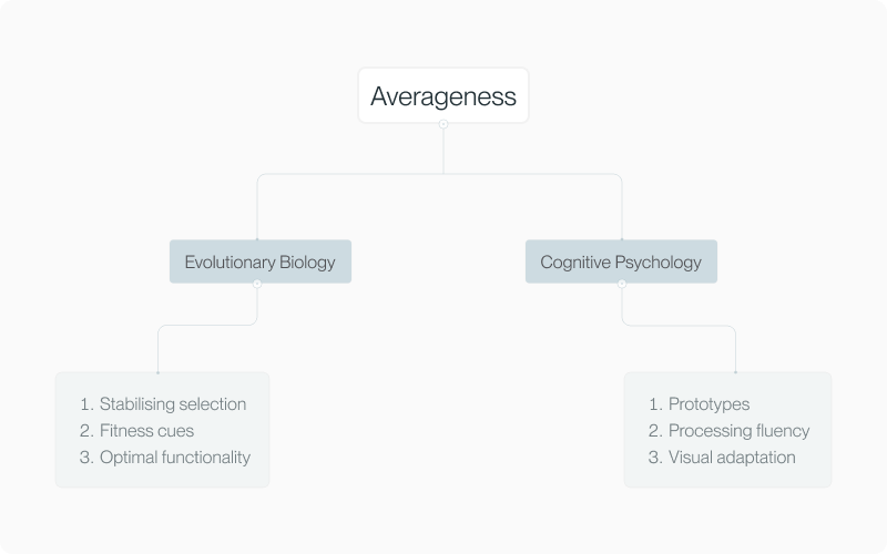 Tree diagram dividing theories of averageness into evolutionary biology and cognitive psychology branches