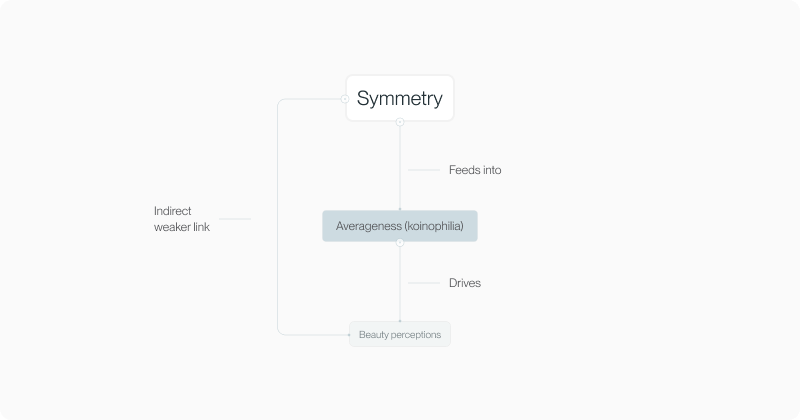 Diagram: symmetry feeds into averageness, which drives beauty perceptions, with an indirect weaker link from symmetry
