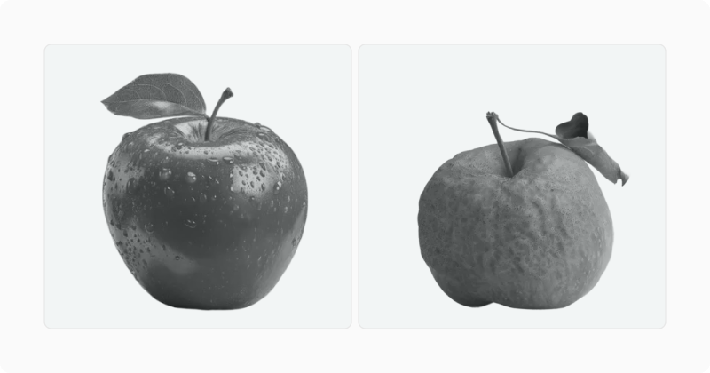 Two apples side by side, one fresh and one wrinkled, illustrating prototypical versus distinctive forms