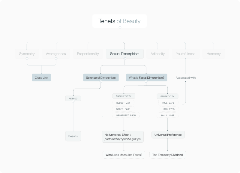 Mindmap placing sexual dimorphism within the seven tenets of beauty framework