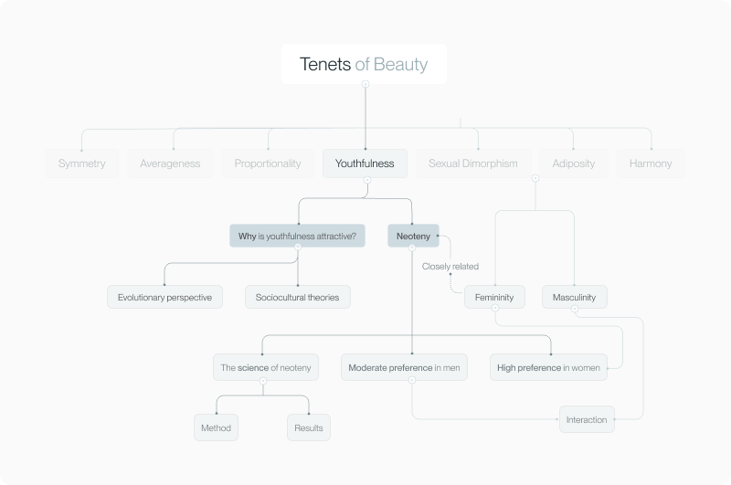 Mindmap placing youthfulness and neoteny within the seven tenets of beauty framework