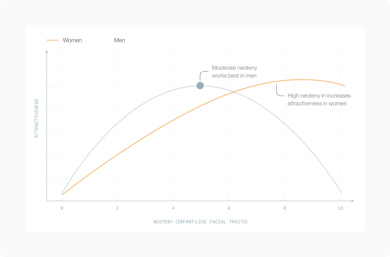 Curves comparing the neoteny-attractiveness response in women and men: women peak at high neoteny, men at moderate