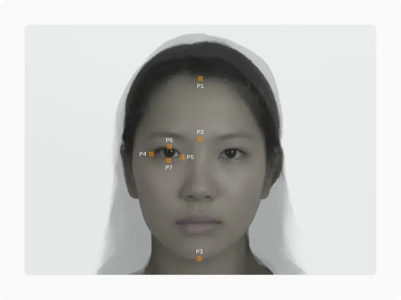 Hand-drawn diagram of a face with 24 numbered neoteny measurements across the forehead, eyes, nose, mouth and chin