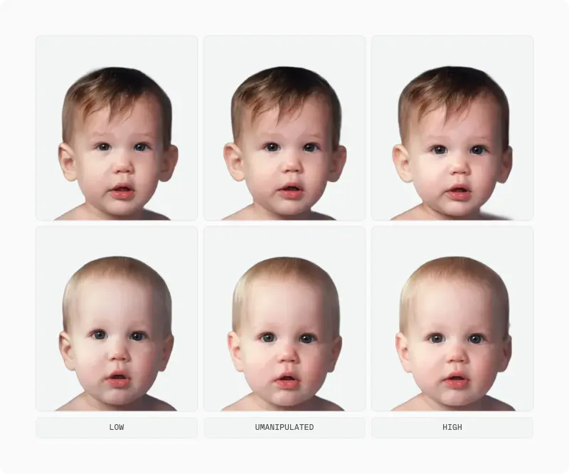 Three baby portraits manipulated from low to high baby-schema features