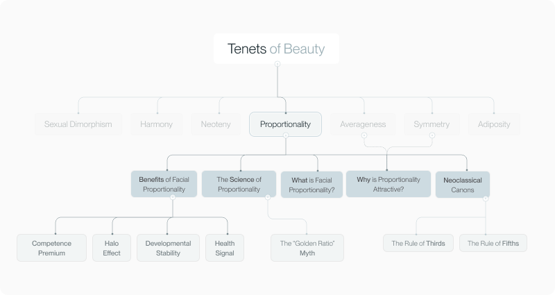 Mindmap placing facial proportionality within the seven tenets of beauty framework
