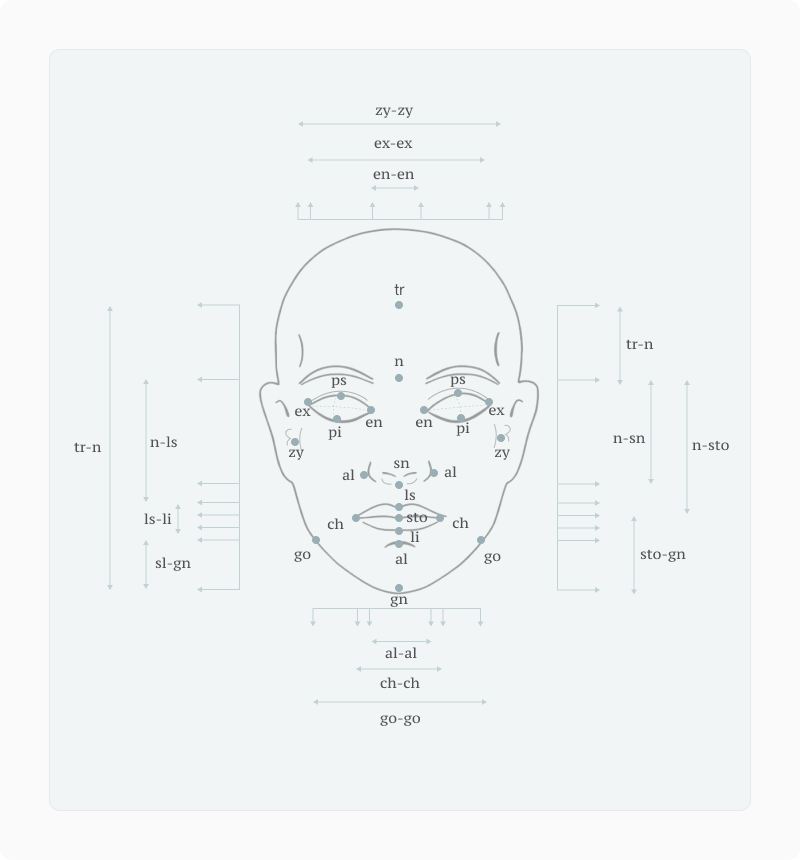 Schematic front face with Farkas anthropometric measurements (tr, n, sn, gn, zy, ex, en, ch, go) labelled across width and height