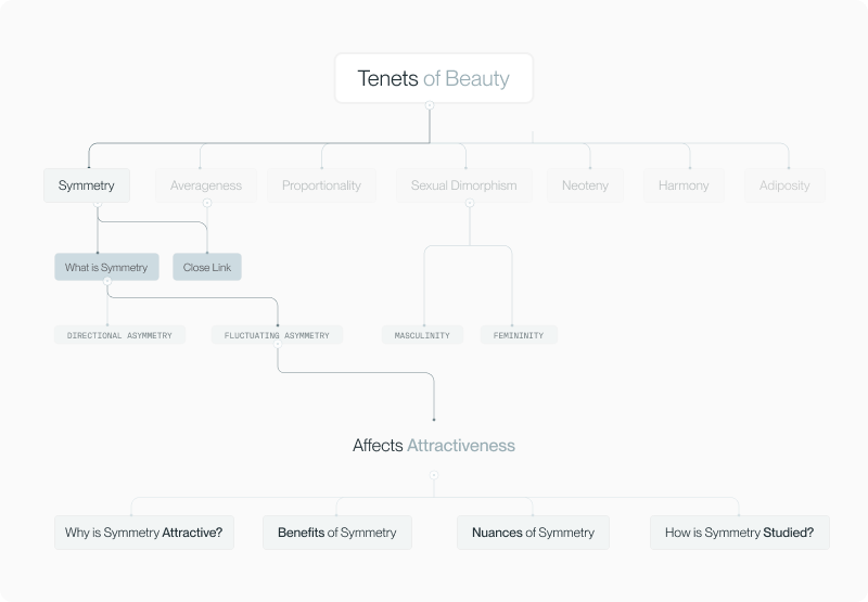 Mindmap placing symmetry within the seven tenets of beauty framework