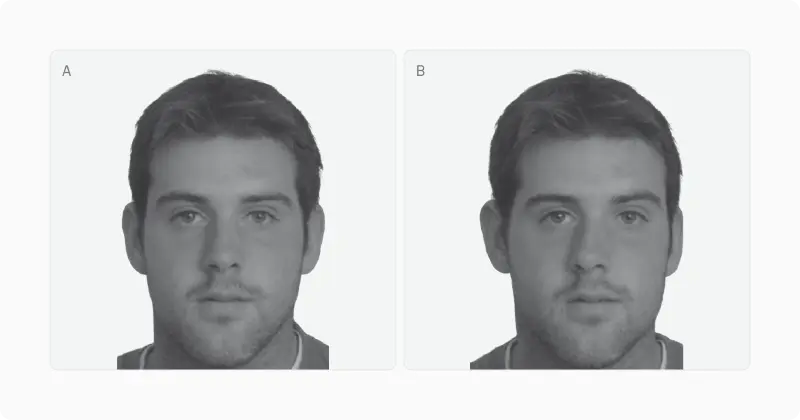 Two standardised male portraits labelled A and B with one morphed to higher and one to lower bilateral symmetry