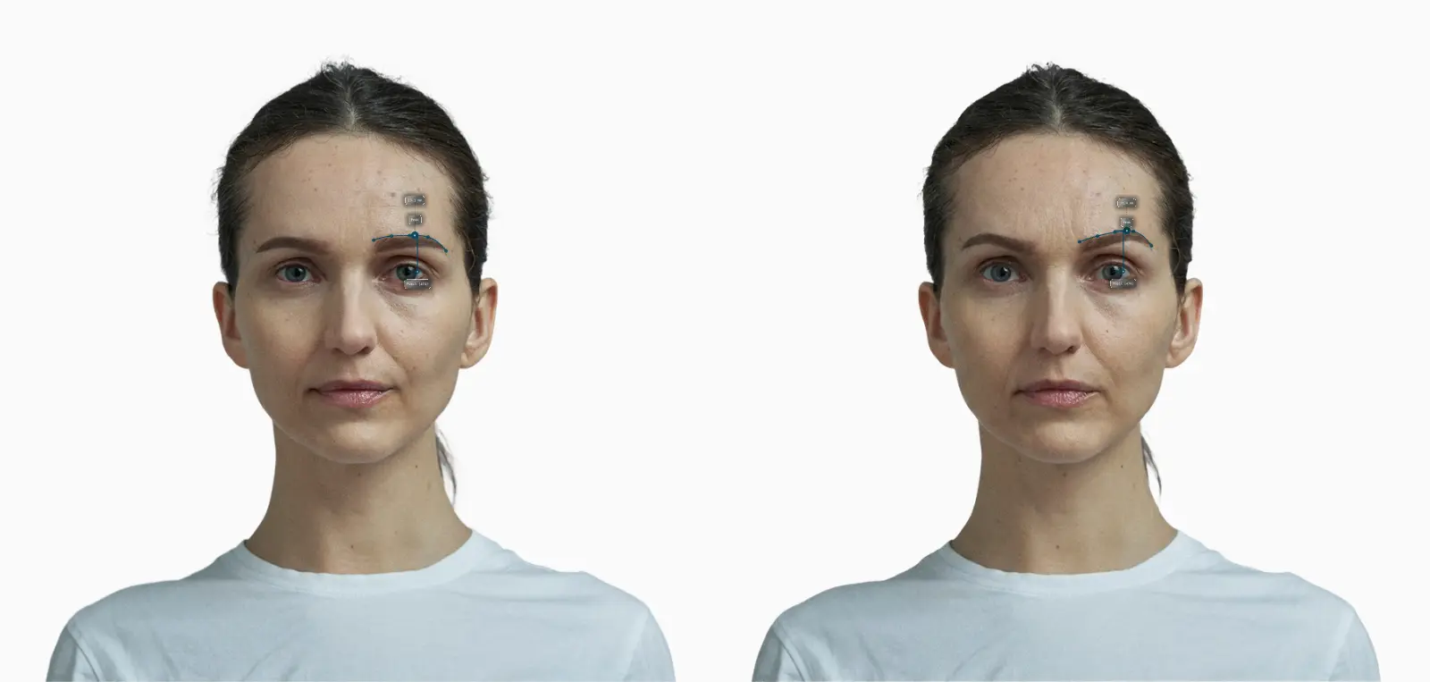 The same female face with lower brows on the left and raised brows on the right, brow height drawn on each