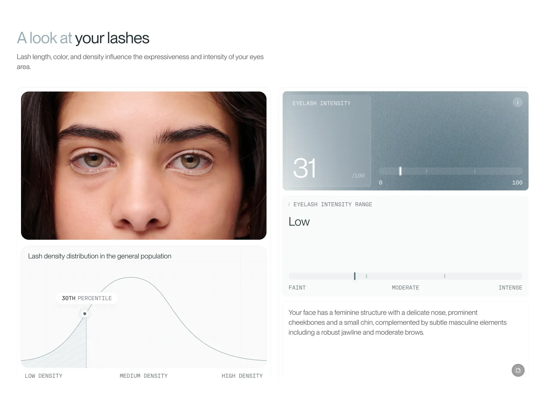 A look at your lashes