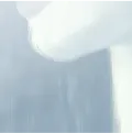 Челюсть