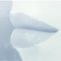 Губы