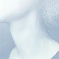 Шея