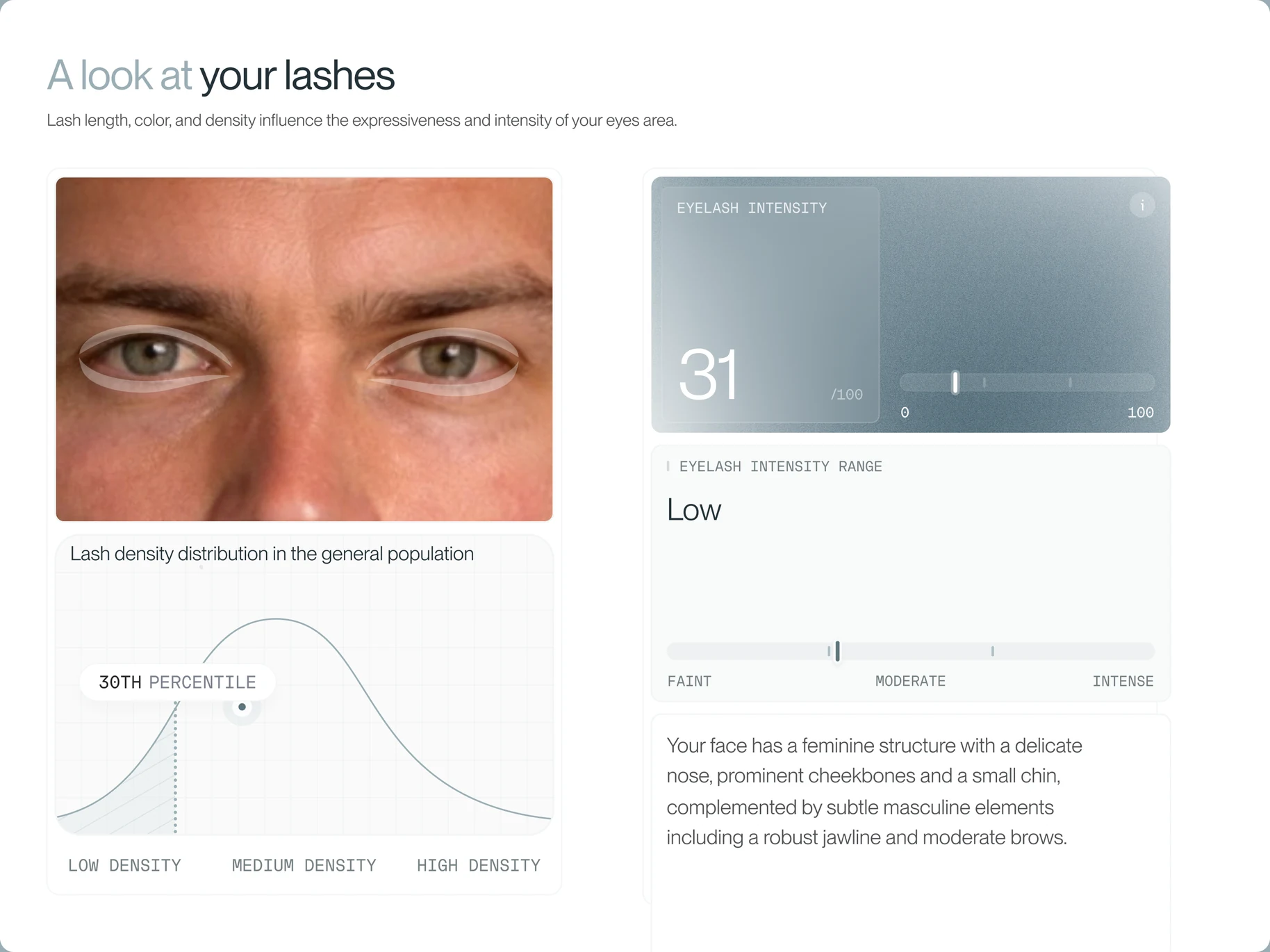 A look at your lashes inside the FASEVA report A look at your lashes inside the FASEVA report