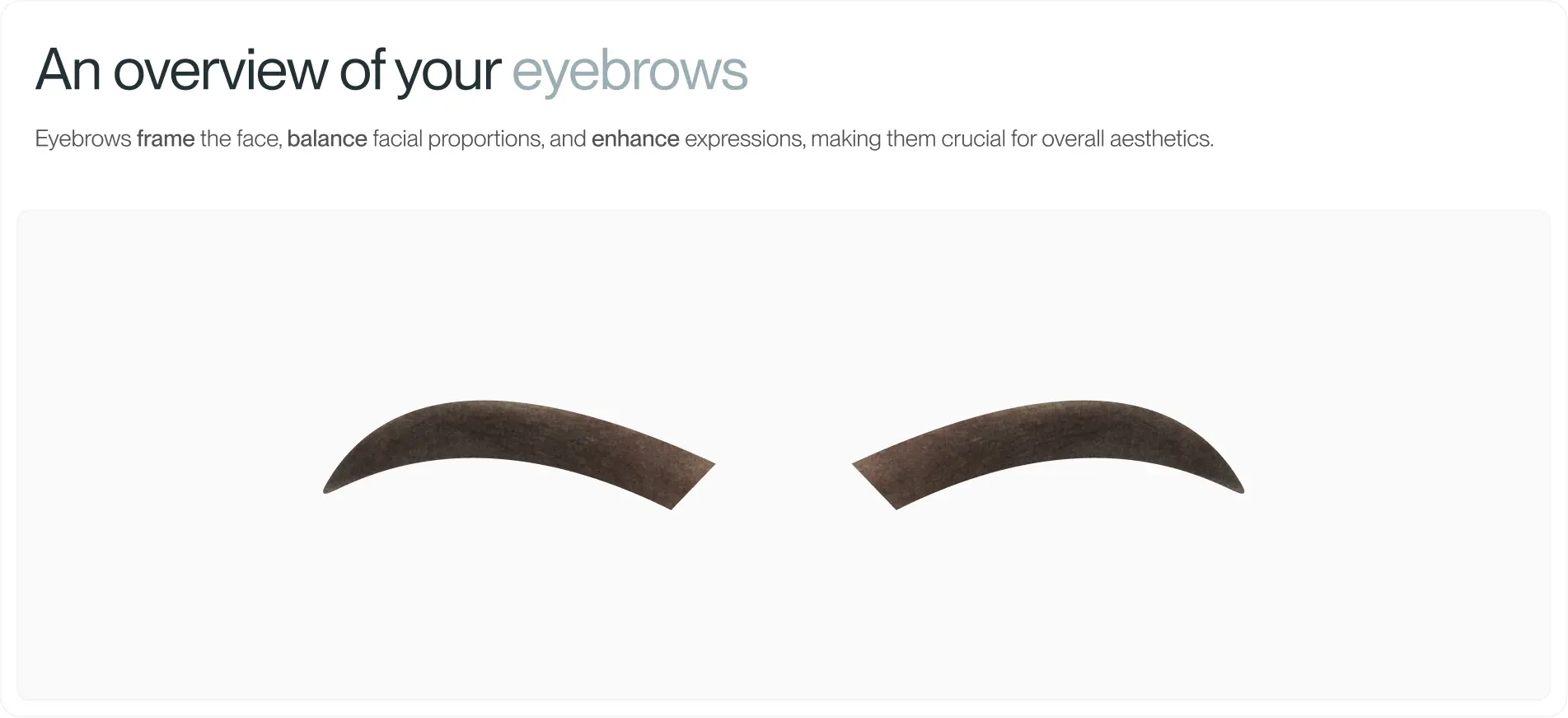 Analysis of eyebrows
