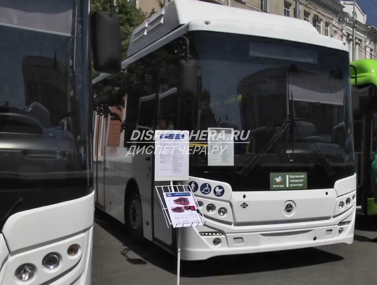 Автобусы по Боровою, Карелии