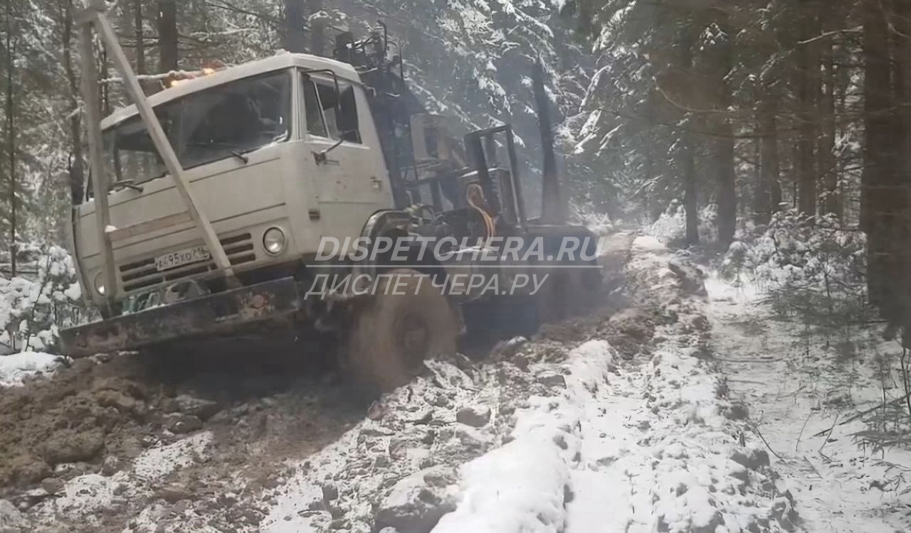 Производим отлаженную погрузку и разгрузку транспортных средств Воронежской области