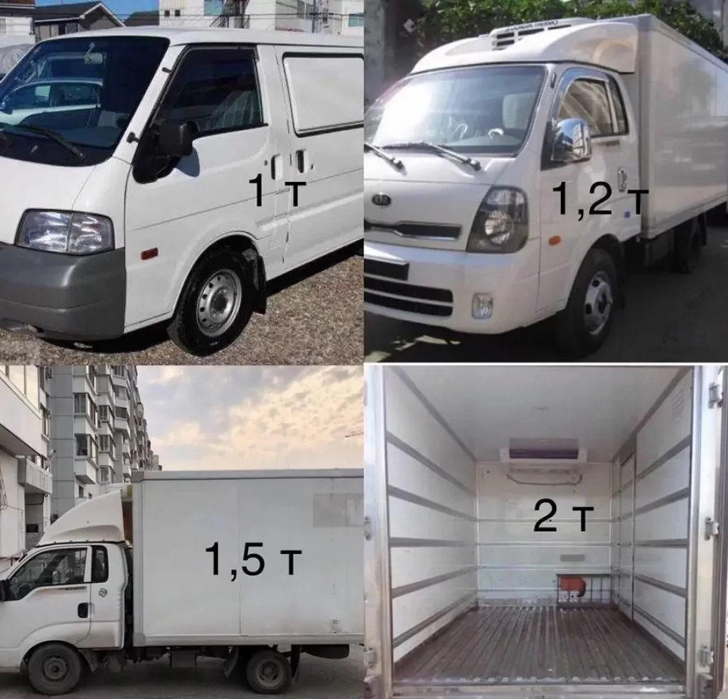 Скорая перевозка дукати Чечне