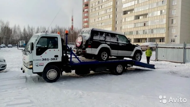 Привезти погрузчик Ленинградской области