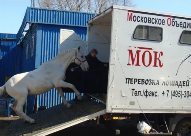 Аккуратные грузоперевозки грузовика Самарской области