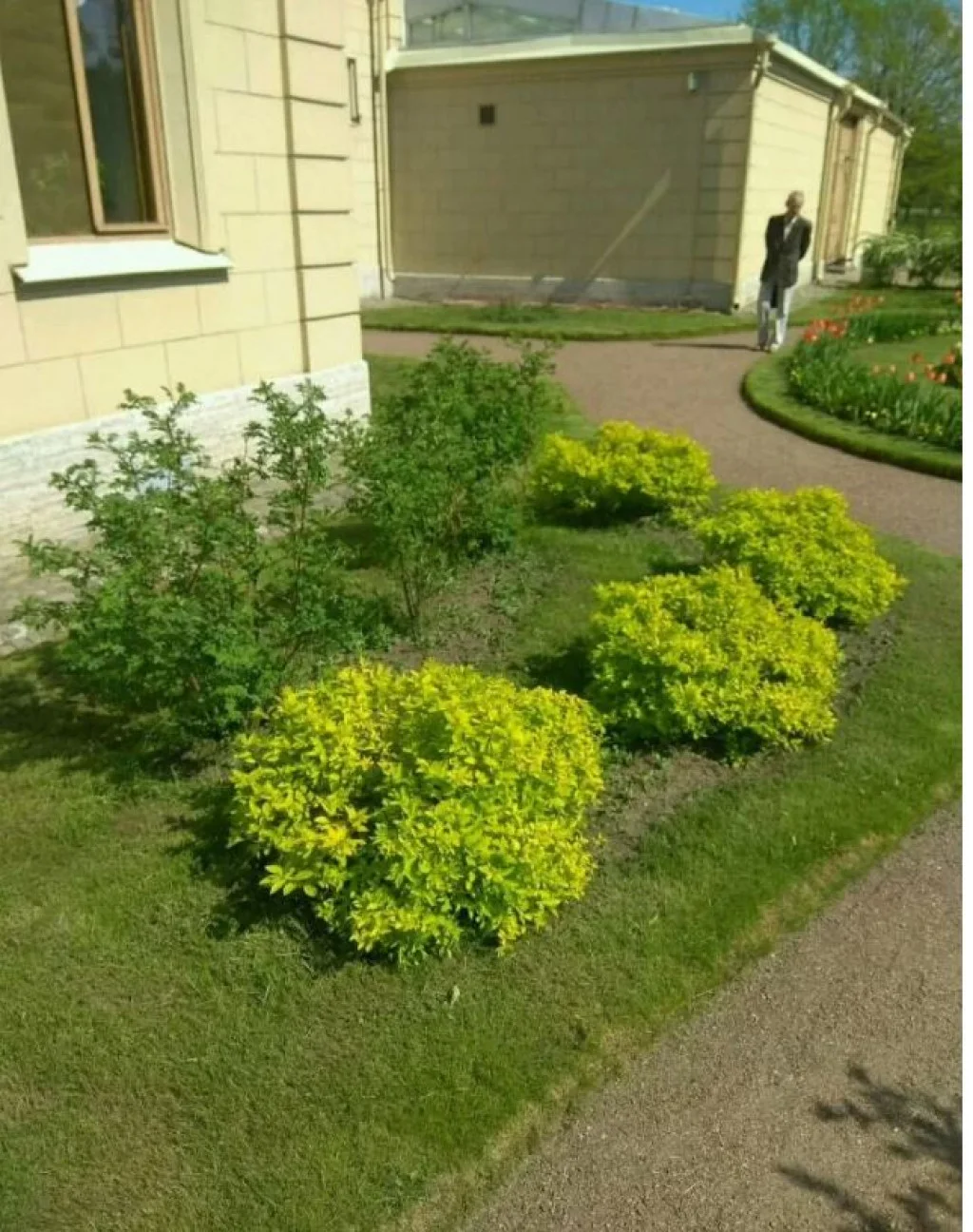 Покос травы Пермскому краю, без посредников Пермскому краю, без посредников