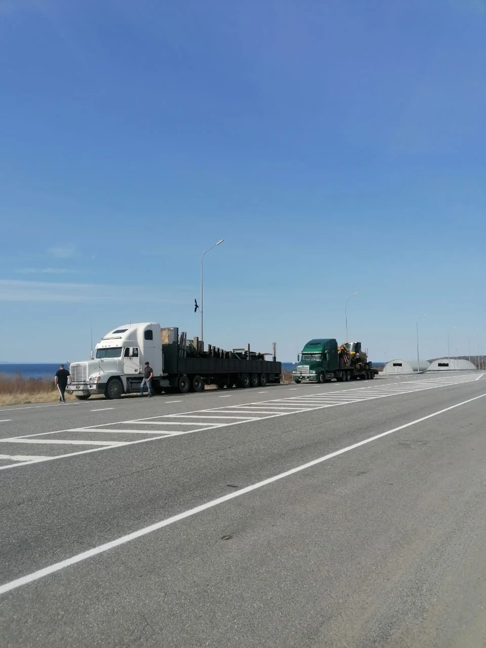Предоставим транспорт и перевезём чеснок с поля Брянской области