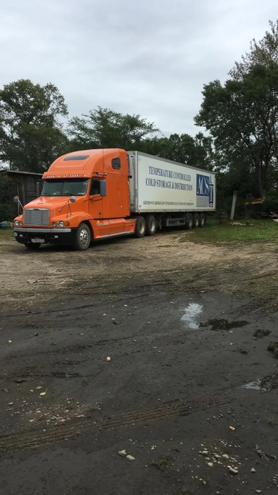 Слаженно транспортируем свеклу до покупателя Брянской области, низкая стоимость Брянской области, низкая стоимость