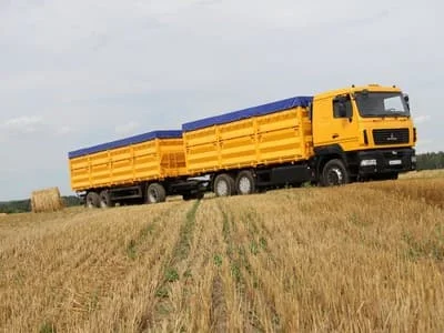 Слаженно транспортируем свеклу Белгородской области, низкая стоимость Белгородской области, низкая стоимость