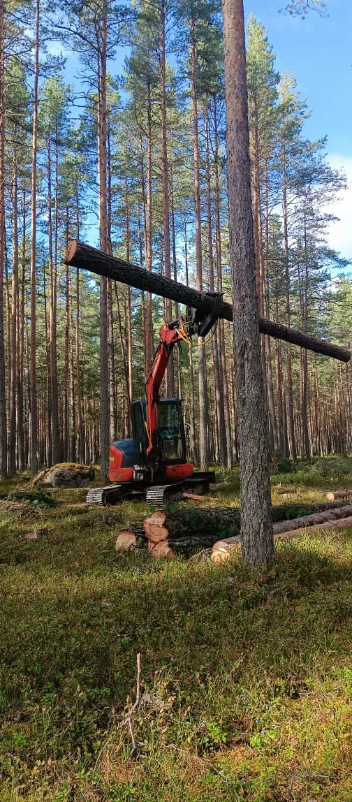 Перегоним автопогрузчик Дагестану