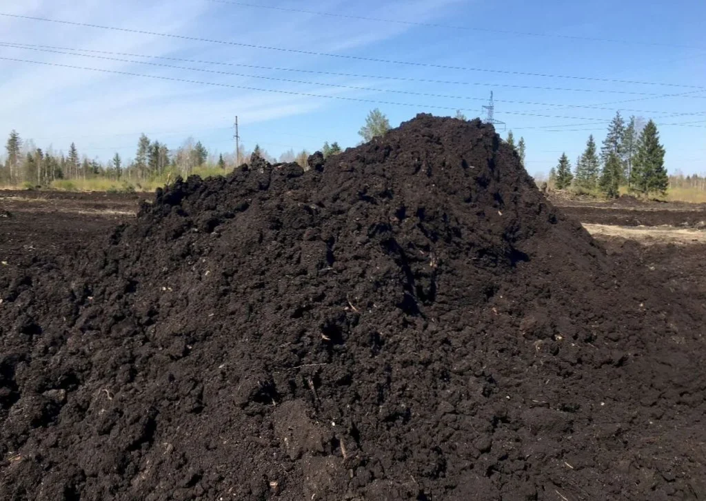 Подбор услуг Воронежской области