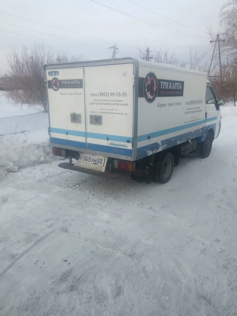 Доставка мясо и туши с подачей по Чесноковке, Башкортостану