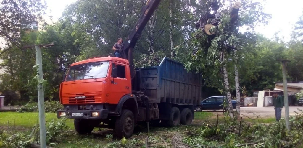 Производим отлаженную погрузку и разгрузку транспортных средств Красноярскому краю, цены с НДС Красноярскому краю, цены с НДС