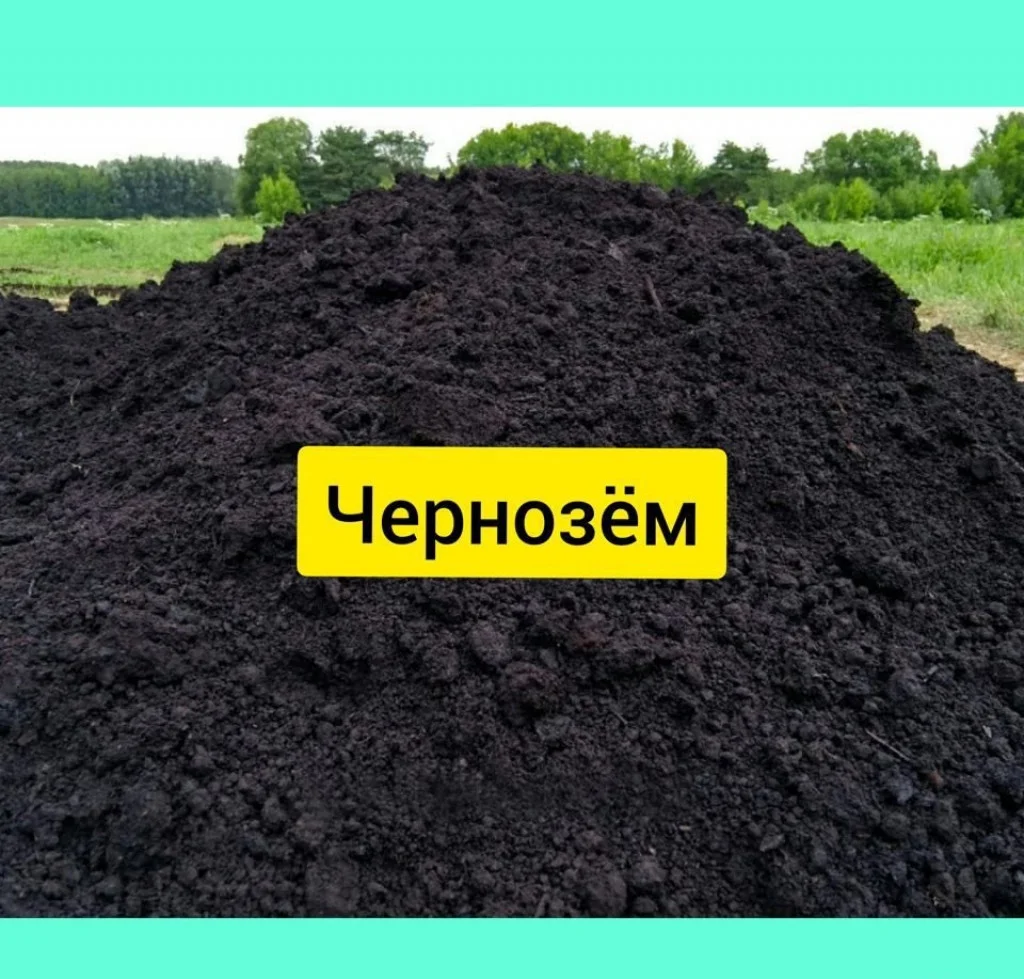 Грунт без посредников по Прасковее, Ставрополье