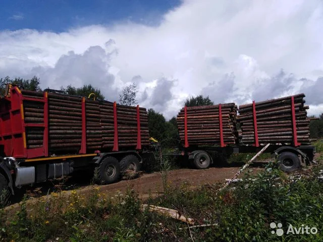 Реализуем мобильный вывоз электромобиля из-за границы Воронежской области, возврат провозных документов Воронежской области, возврат провозных документов